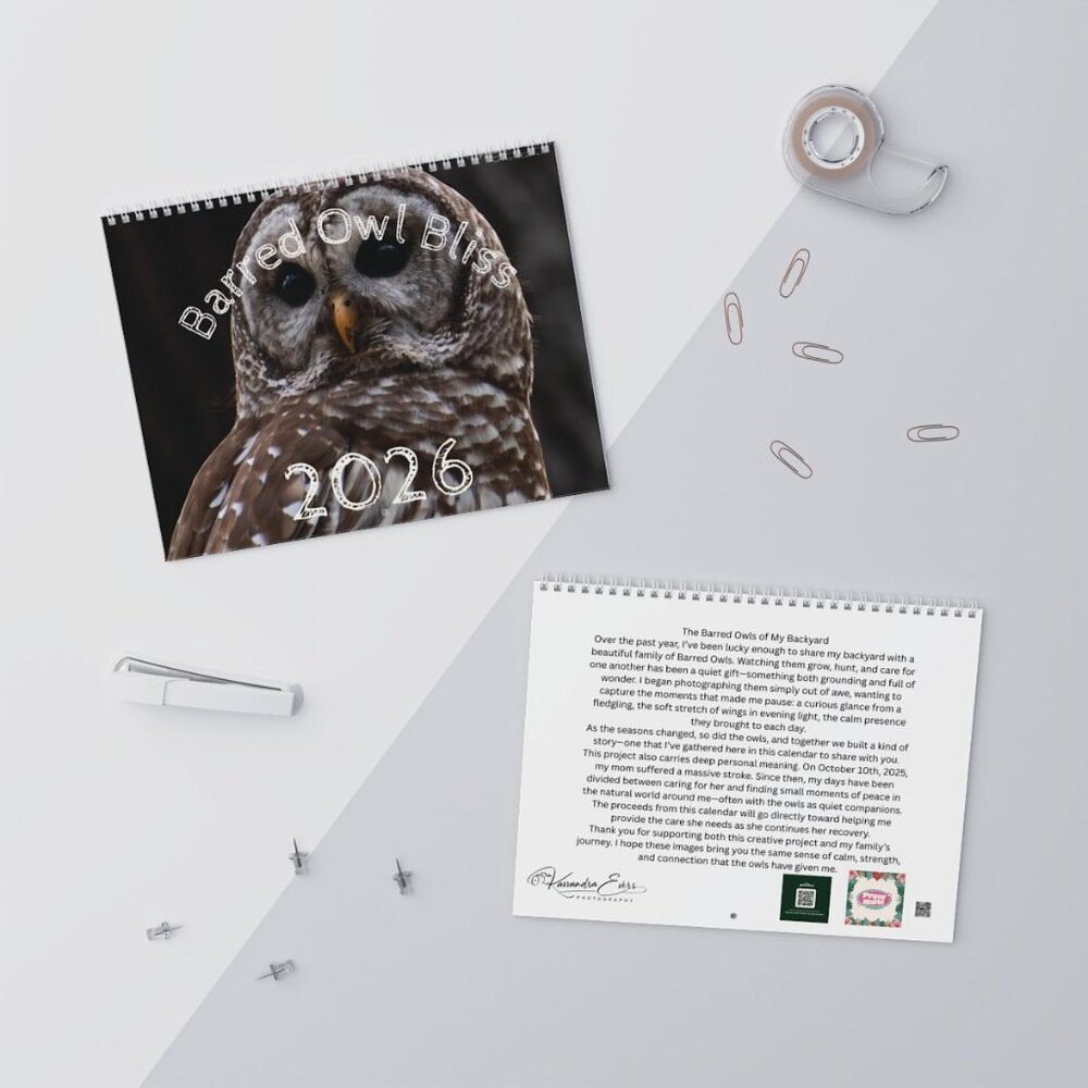 Barred Owl Wall Calendar